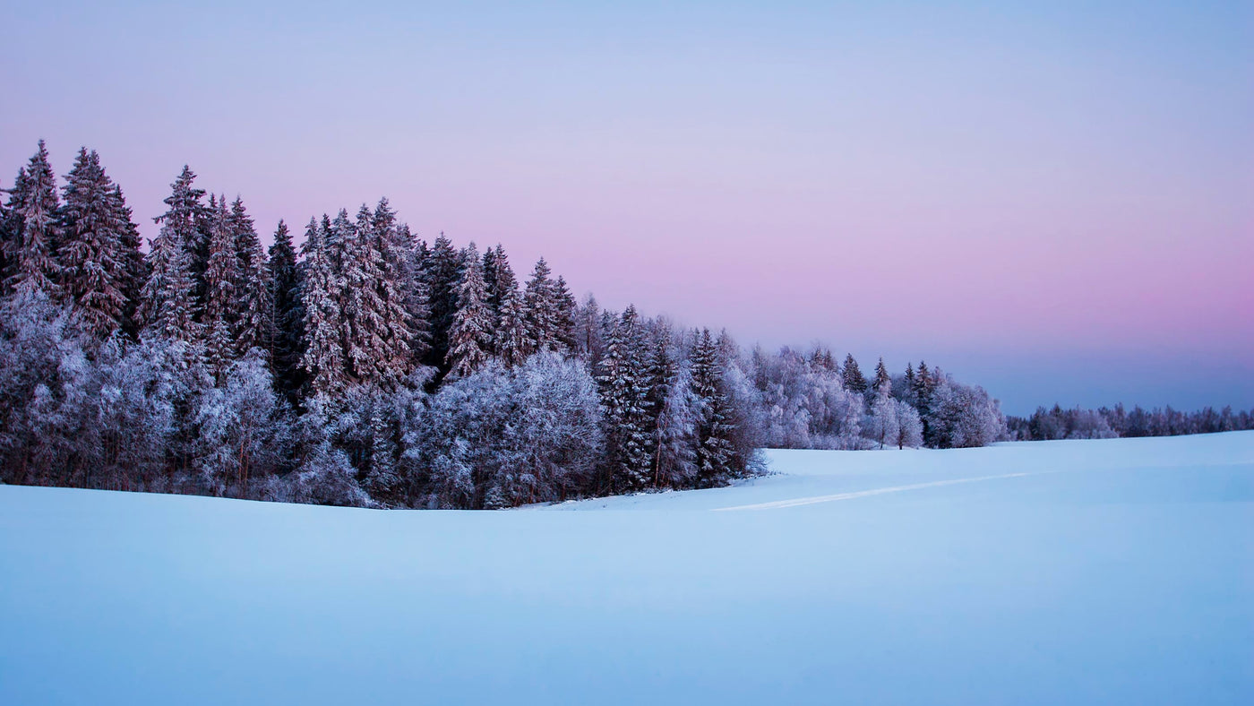 Winter Sports